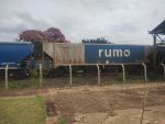 RUMO HPT-033828-1
